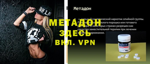 прущие грибы Гусев