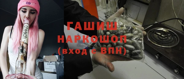 прущие грибы Гусев