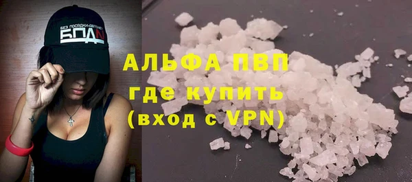 PSILOCYBIN Гусиноозёрск