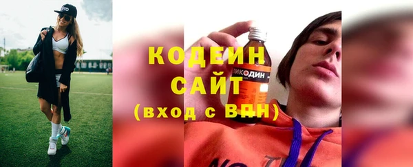 прущие грибы Гусев