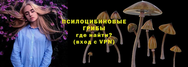 PSILOCYBIN Гусиноозёрск