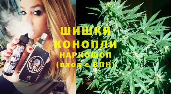 прущие грибы Гусев