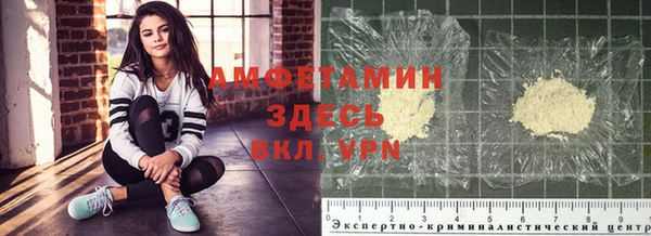 PSILOCYBIN Гусиноозёрск