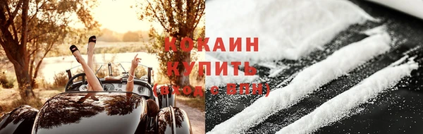 прущие грибы Гусев