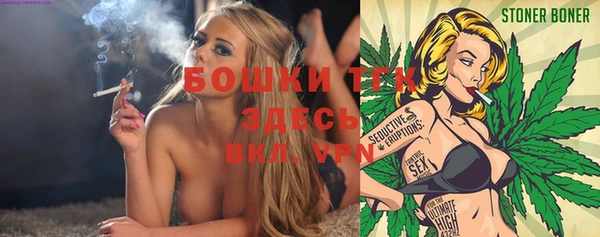 PSILOCYBIN Гусиноозёрск