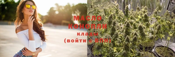 прущие грибы Гусев