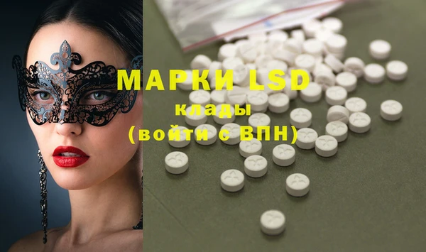 прущие грибы Гусев