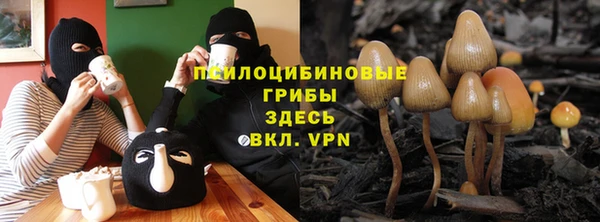 PSILOCYBIN Гусиноозёрск